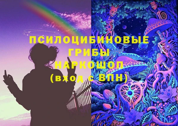 шишки Абаза