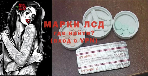 шишки Абаза
