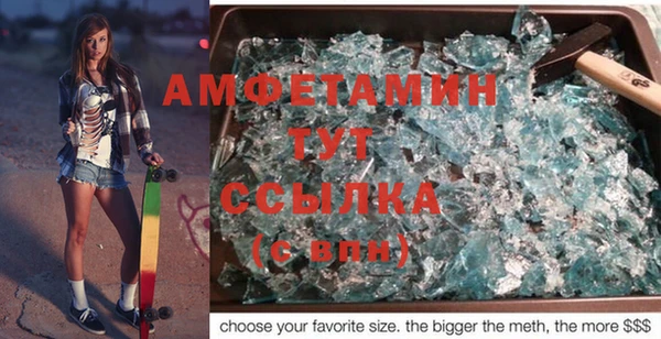 шишки Абаза