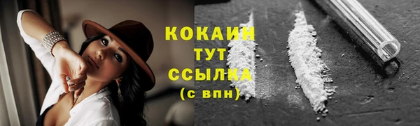 шишки Абаза