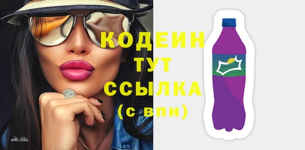 шишки Абаза