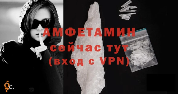 шишки Абаза