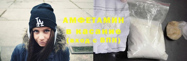шишки Абаза