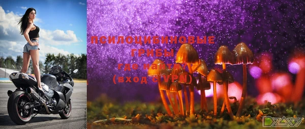 шишки Абаза