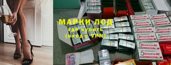 шишки Абаза