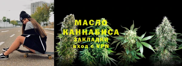 шишки Абаза